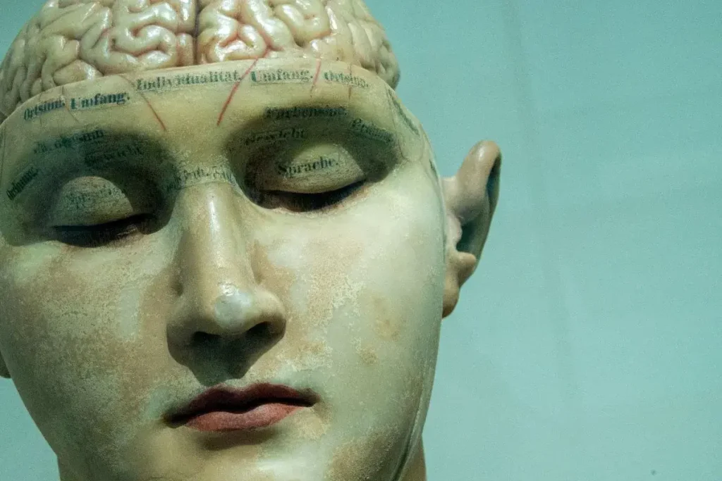 Manichino con area cerebrale in bella vista a significare la teoria della mente